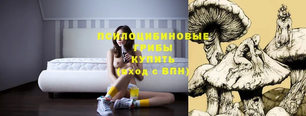 гидропоника Алексин