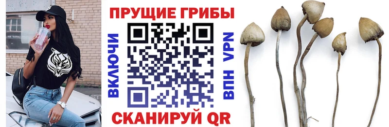 Галлюциногенные грибы ЛСД  Рошаль 